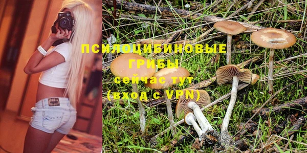 стаф Абаза