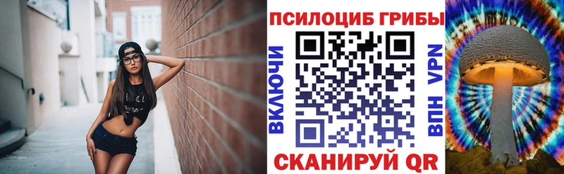 Галлюциногенные грибы Magic Shrooms цена Троицк